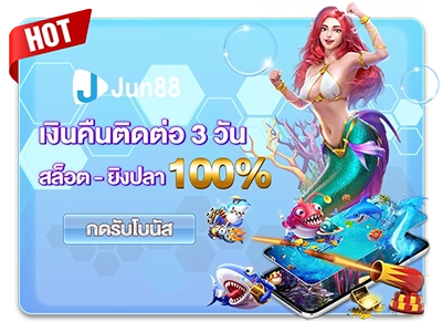 โปรโมชั่น4